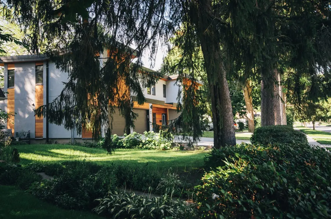 House with trees